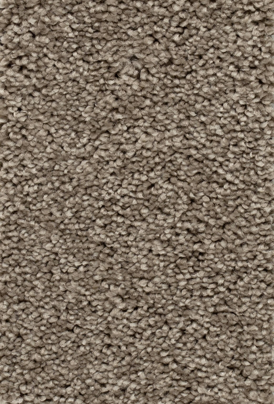 Afbeelding van Homeline 27 Tapijt Palia 500 cm Kleur 65