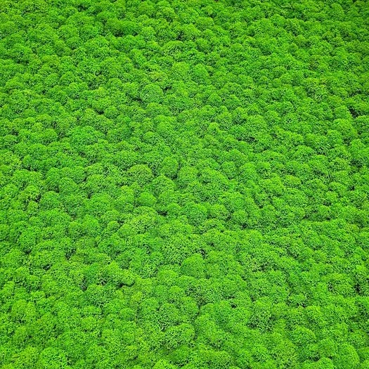 Afbeelding van JOKA PARO Akustik PAM001 600x600 Tegel Appelgroen | Pak à 1,44m²