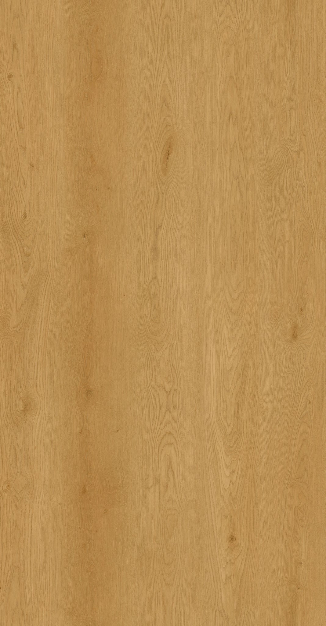 Afbeelding van LVT Design 555 DB XXL 2,5mm/NS 0.55 9633 Chateau Oak Nature EIR 1800x228x2,5mm | 4,11m2