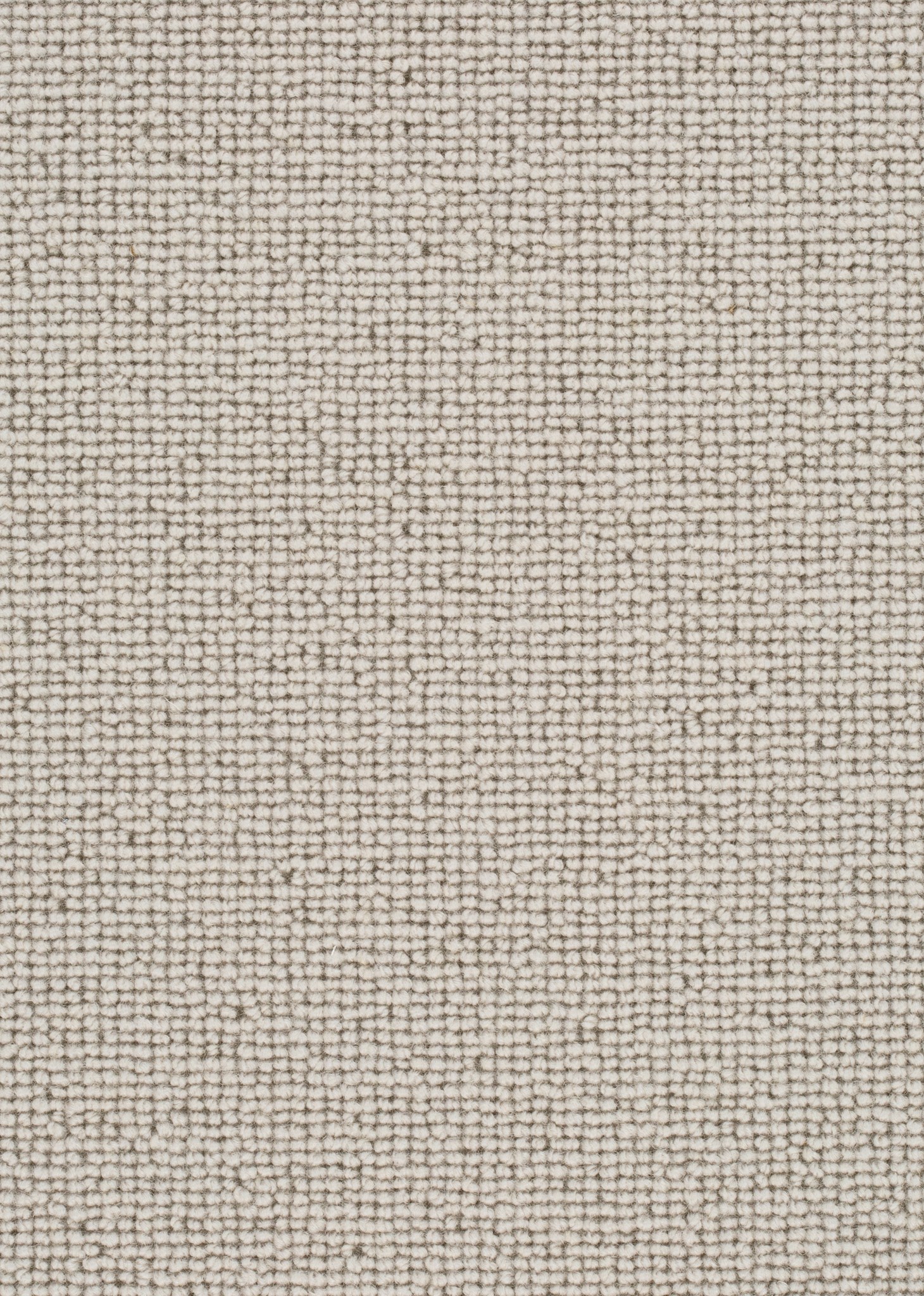 Afbeelding van Wool 24 Tapijt ROCCO 500cm Kleur 222 x 500,0