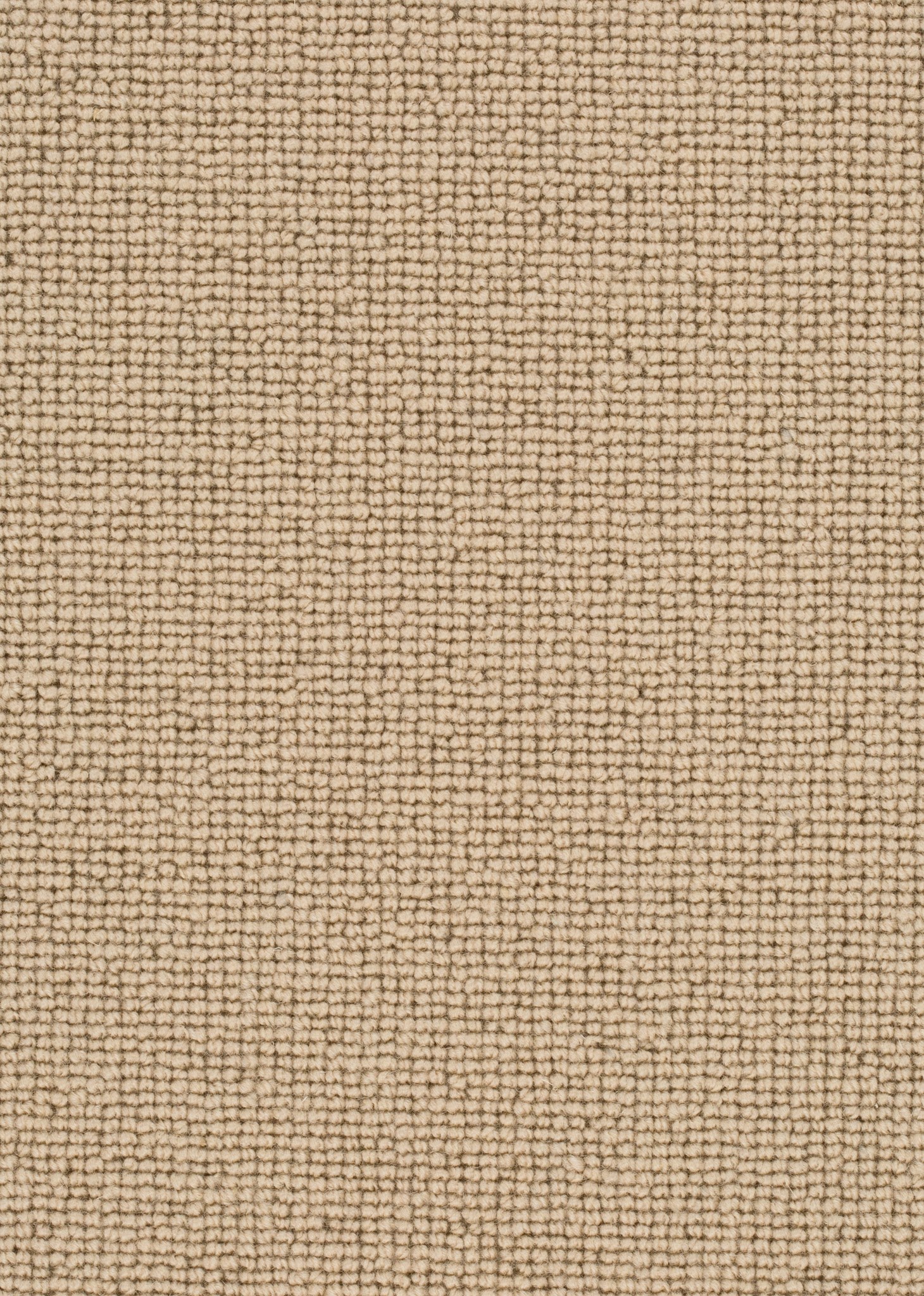 Afbeelding van Wool 24 Tapijt ROCCO 500cm Kleur 142 x 500,0