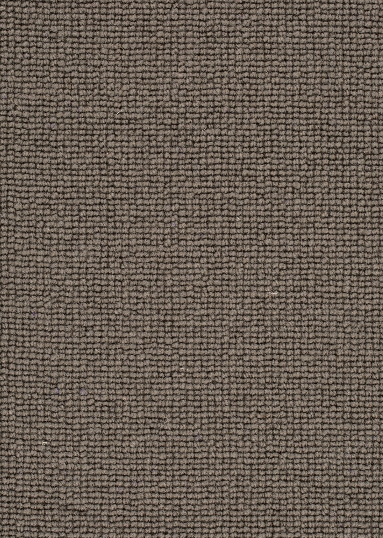 Afbeelding van Wool 24 Tapijt ROCCO 500cm Kleur 133 x 500,0